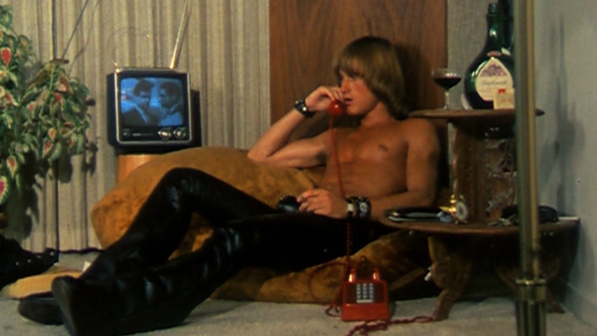 Ignatio Rutkowski’nin Nights in Black Leather filminde, vazelin efekti kullanılarak çekilmiş, pastoral bir atmosferde geçen romantik ve estetik bir gey sineması karesi.