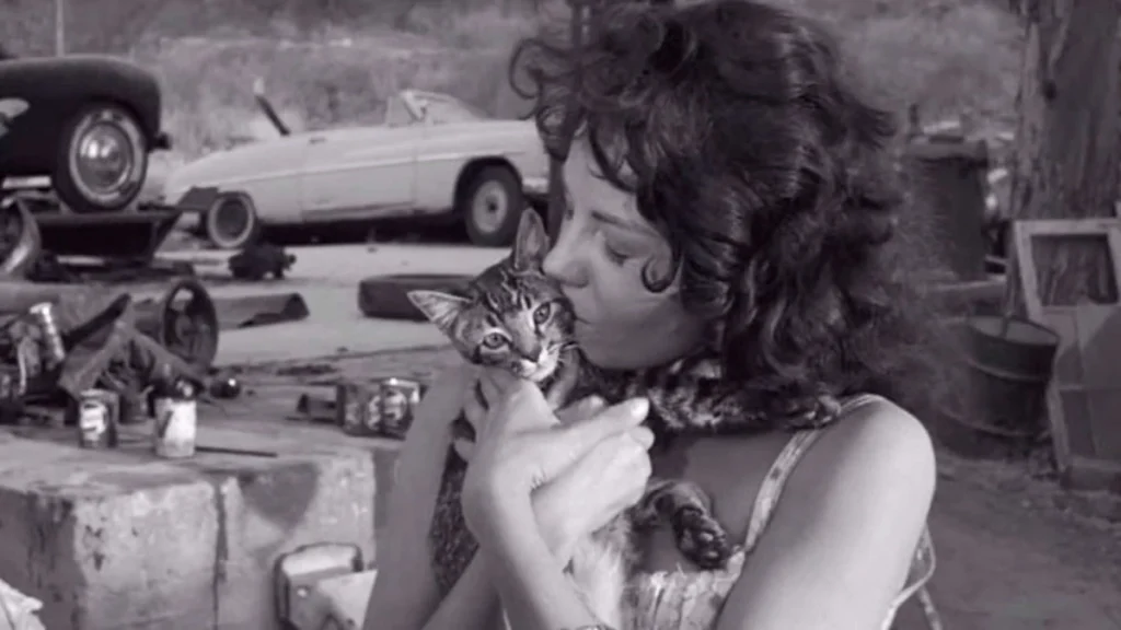 The Sadist 1963 hurdalık sahnesi klostrofobik kamera açıları